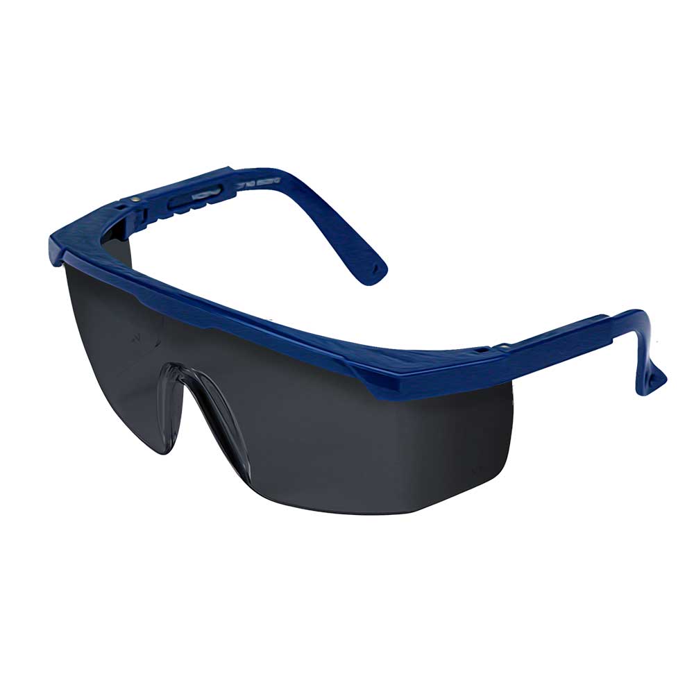 Lente Seguridad US Eagle Classic Gris AS